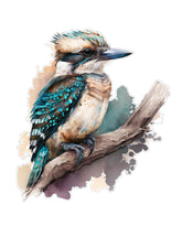 Kookaburra   Sticker for vehicles, boat , motorhome, truck, trailer, car sticker